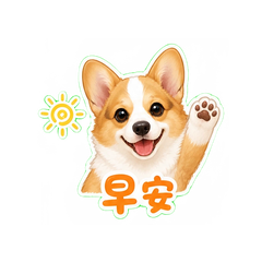 小柯基日常 #4