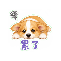 貼圖 11