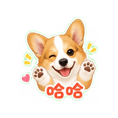 小柯基日常 #1