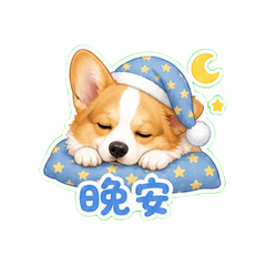 小柯基日常 #3