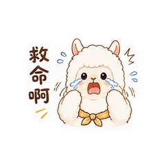貼圖 7