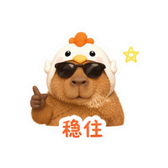 貼圖 11