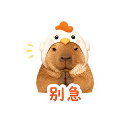 松弛水豚 #1