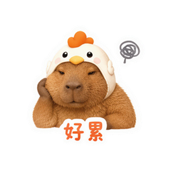 貼圖 10