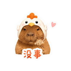貼圖 8