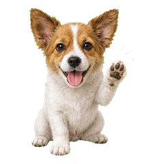 Sticker 7