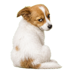 Sticker 11