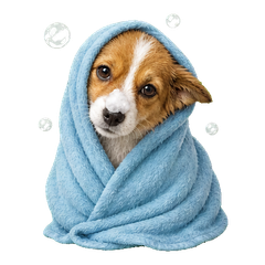 Sticker 10