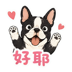 貼圖 8