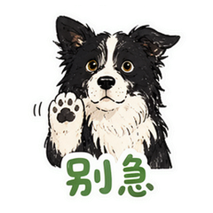 貼圖 5