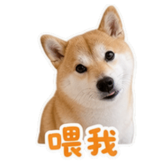 貼圖 1