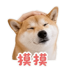 貼圖 2