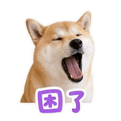 貼圖 4