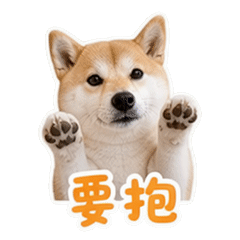 貼圖 5