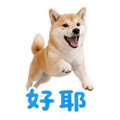 貼圖 7