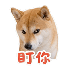 貼圖 9