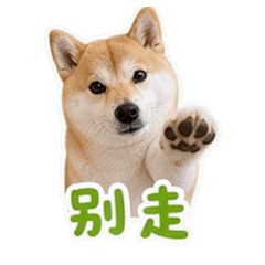 貼圖 10