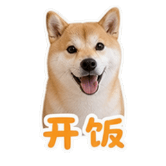 貼圖 11