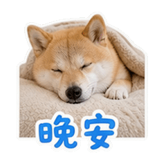 貼圖 12