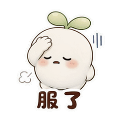 表情 4