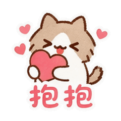 貼圖 7