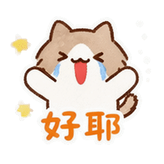 貼圖 11
