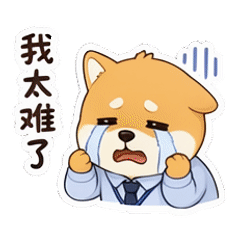貼圖 9
