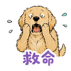 貼圖 4