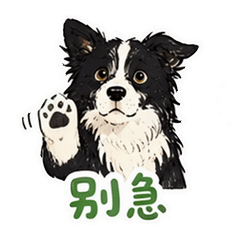 貼圖 5