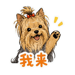 貼圖 7