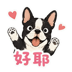 貼圖 8