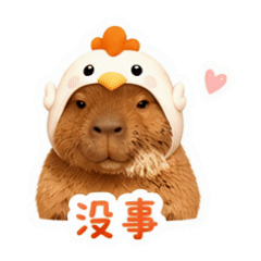 貼圖 8