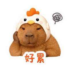 貼圖 10