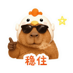 貼圖 11